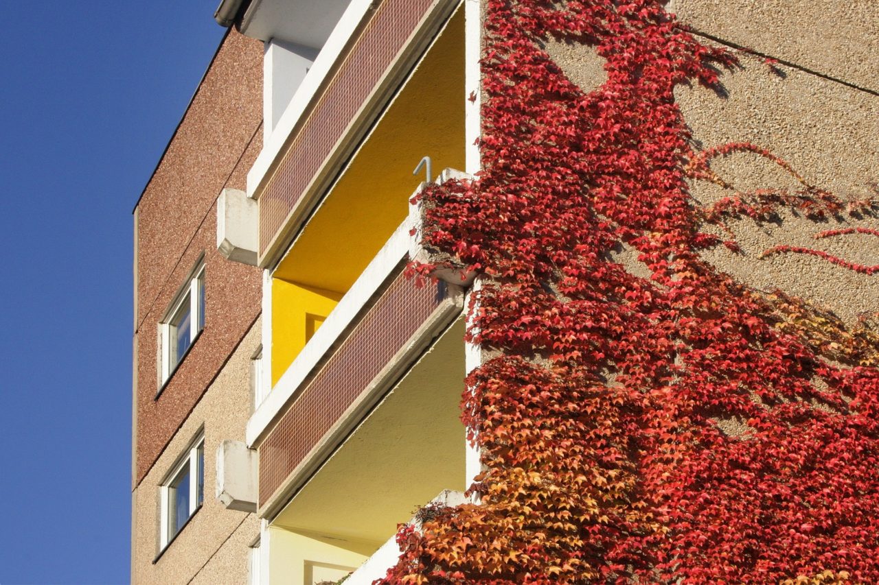 https://www.avvocatolauravendramini.it/wp-content/uploads/2020/06/saxony-254606_1920-1280x853.jpg
