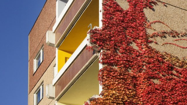 https://www.avvocatolauravendramini.it/wp-content/uploads/2020/06/saxony-254606_1920-640x360.jpg